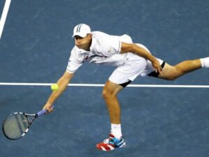 Andy Roddick shuts down Elon Musk's opinion on pickleball crushing tennis in the future