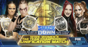 Triple H wasn't behind the idea of women's tag team titles unification