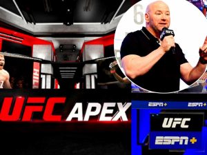 Despite carrying a low-cost structure, UFC APEX isn't quite the golden goose, unlike ESPN MMA