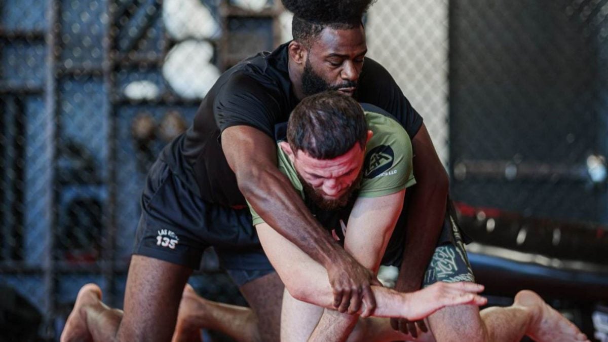 Aljamain Sterling grappling with Merab Dvalishvili