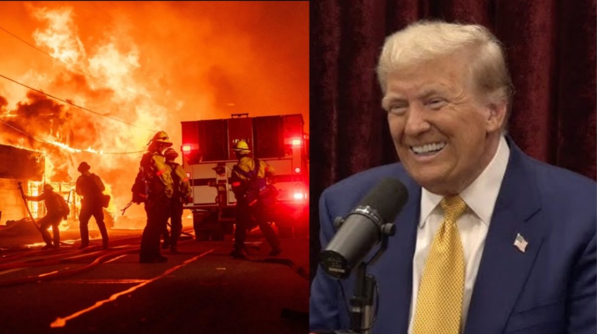 Donald Trump talks about wildfires on the Joe Rogan podcast 